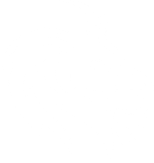 Kwamina
